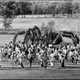 Artist interpretation of ceiling spider.